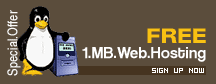 FREE ONE MB web hosting